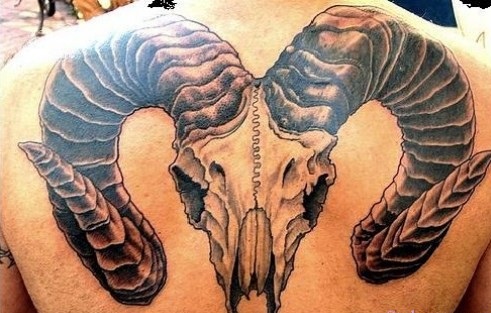 Aries-back-tattoos