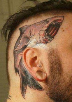head-tattoo-shark