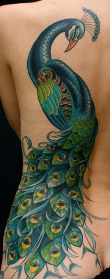 peacock-feather-tattoo-back-old