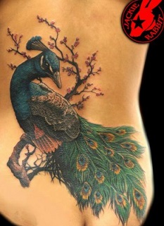 peacock-feather-tattoo-cover-up