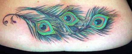 peacock-feather-tattoo-cover
