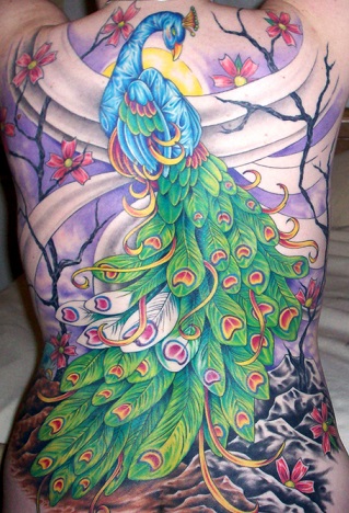 Peacock Feather Tattoos - Tattoo Insider