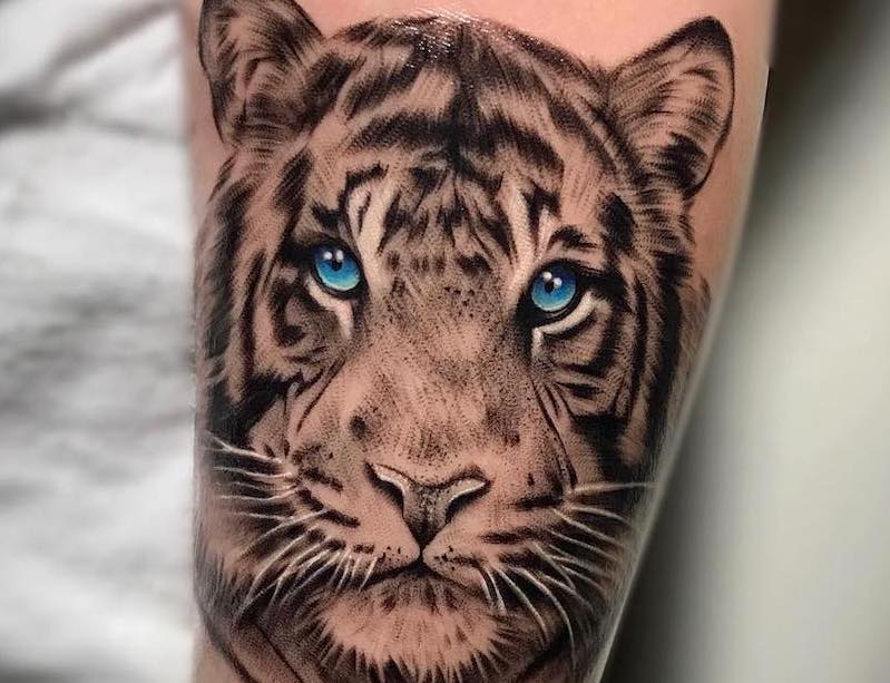 Miss Jade-Tiger Tattoo
