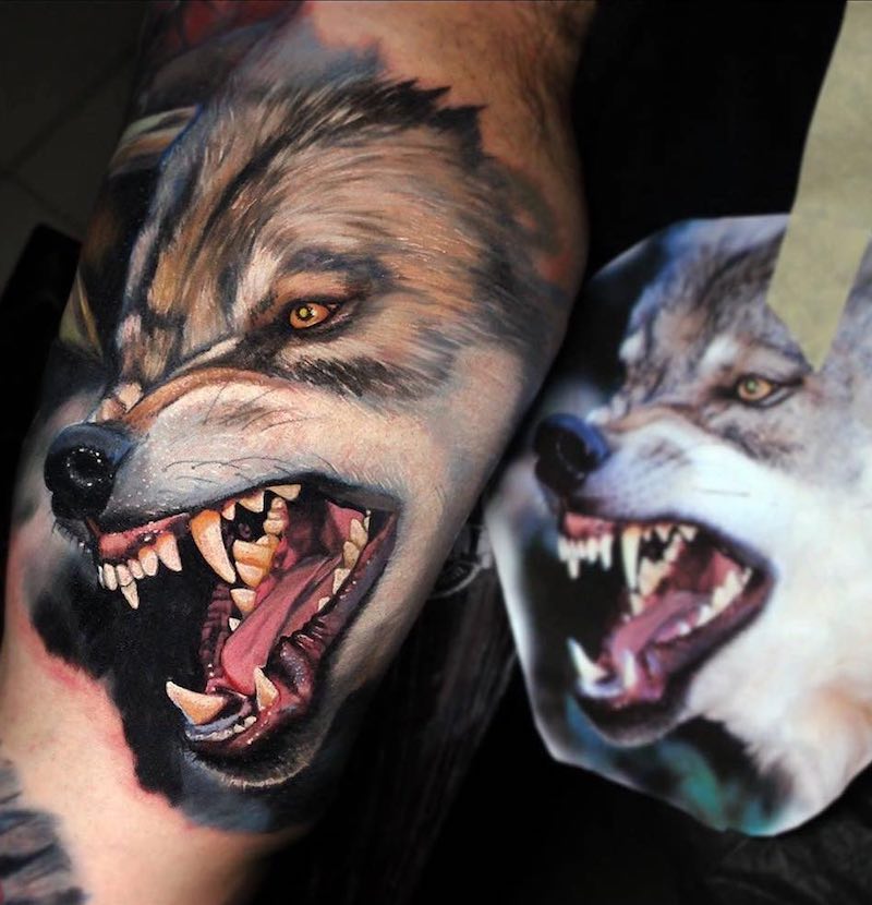 Realistic Wolf Tattoo by Dave Paulo