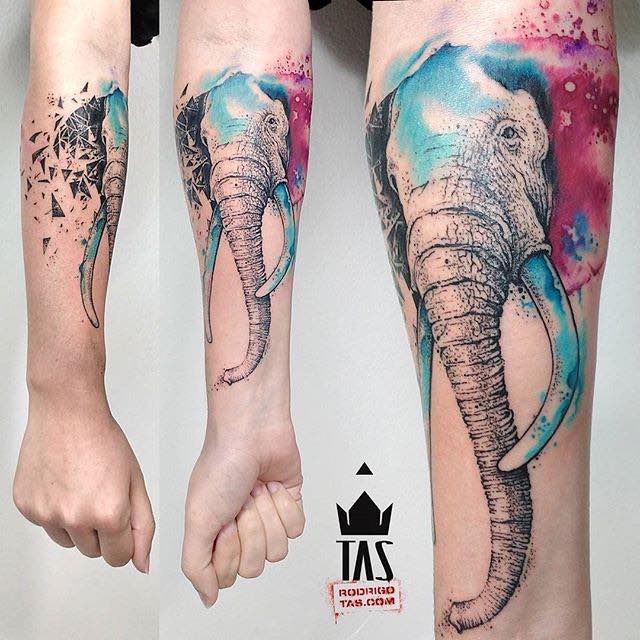 Elephant Tattoo by Rodrigo Tas