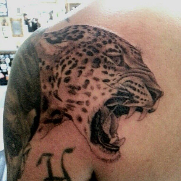 Jaguar Tattoo - Freddy Negrete