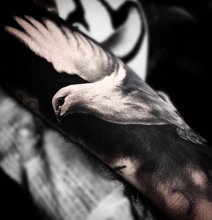 Dove Tattoo by Todd Bailey