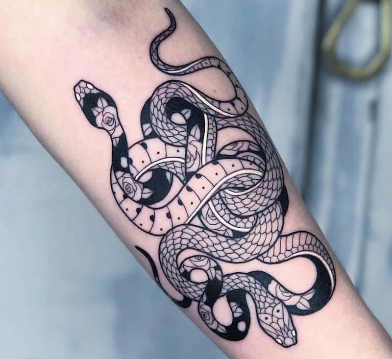 Best Snake Tattoos Mirko Sata