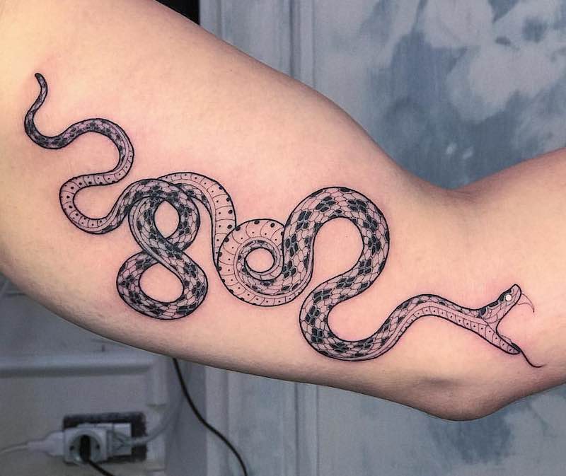 Snake Tattoo 2 by Mirko Sata