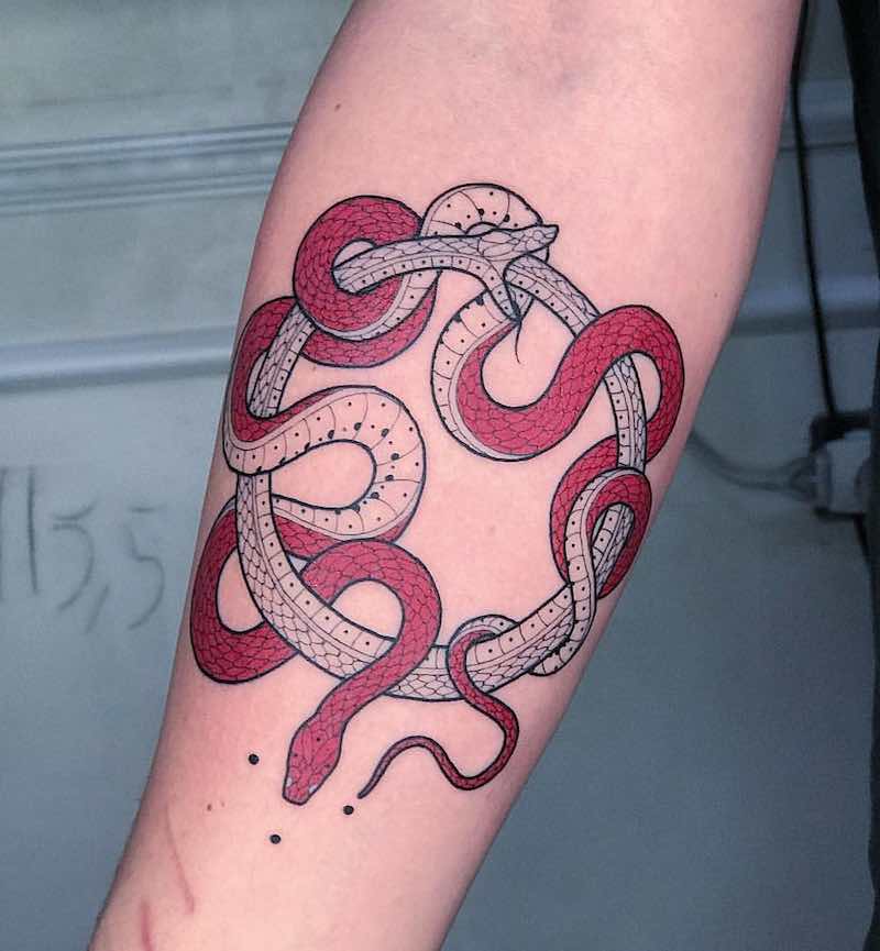 Snake Tattoo by Mirko Sata