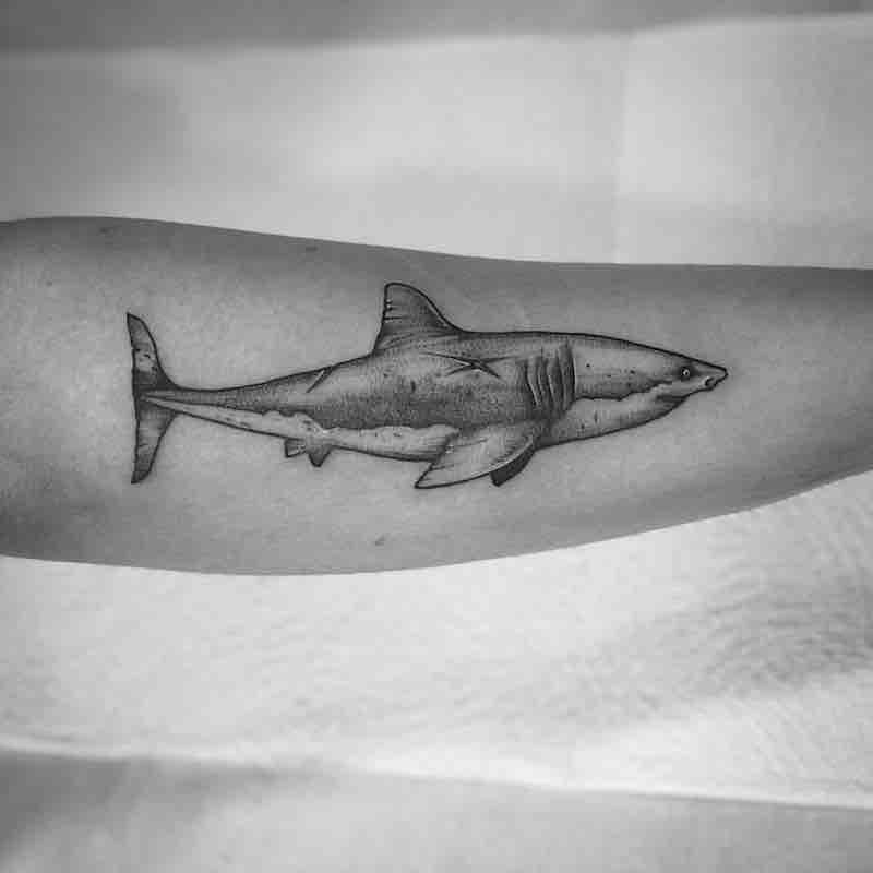 Shark Tattoo by Tom Tom Tatt