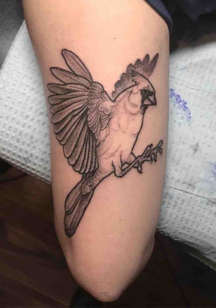 Bird Tattaoo by Chelsea Owen
